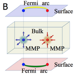 Weyl fermions are observed in a solid