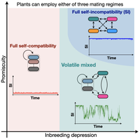 Volatile But Persistent Coexistence of Self-Compatibility and Self-Incompatibility in Plants