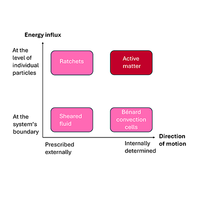 Colloquium: What do we mean by ‘active matter’?