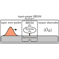 Input-output hierarchical equations of motion | Phys. Rev. A