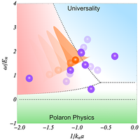 Polaritons for testing the universality of an impurity in a Bose ...