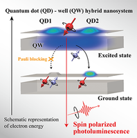 Persistent High Polarization of Excited Spin Ensembles During Light ...