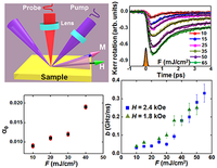 Laser Controlled Spin Dynamics of Ferromagnetic Thin Film from ...