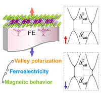 Electrical Control of Magnetic Behavior and Valley Polarization of ...