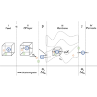 Theory of Ion and Water Transport in Reverse-Osmosis Membranes | Phys ...