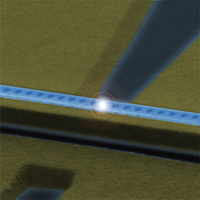 An integrated nanophotonic quantum register based on silicon-vacancy ...