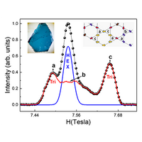 From spin liquid to magnetic ordering in the anisotropic kagome Y ...
