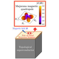 Majorana multipole response with magnetic point group symmetry | Phys ...