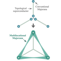 Multilocational Majorana zero modes | Phys. Rev. B