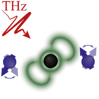 Merlin Theory of terahertz-driven magnetic switching in rare-earth