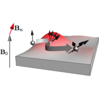 Anisotropic spin relaxation in -GaAs from strong inhomogeneous ...
