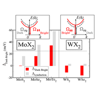 Splitting between bright and dark excitons in transition metal ...