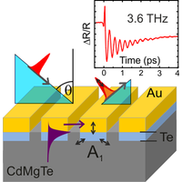 Terahertz dynamics of lattice vibrations in Au/CdTe plasmonic crystals ...