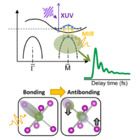 Revealing the role of electrons and phonons in the ultrafast