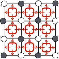 Dynamically enriched topological orders in driven two-dimensional