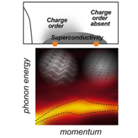 SYHO！ Persistent low-energy phonon broadening near the charge