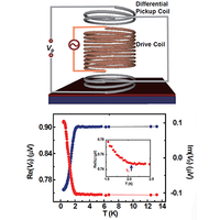 メイ Spectrally sharp magnetic excitations above the critical