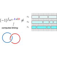 A quantum cellular automaton for every symmetry protected
