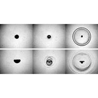 Shock waves from nonspherical cavitation bubbles | Phys. Rev. Fluids