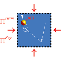 Inertial effects on the stress generation of active fluids | Phys. Rev ...