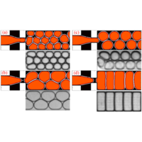 Modeling pattern formation in soft flowing crystals | Phys. Rev. Fluids