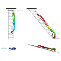 Three-dimensionality of leading-edge vortices on high aspect ratio ...