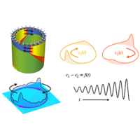 Data-driven modeling of rotating detonation waves | Phys. Rev. Fluids
