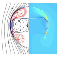 Free rising skirt bubbles | Phys. Rev. Fluids