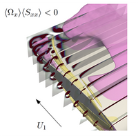 Structure of vorticity and turbulence fields in a separated flow around ...
