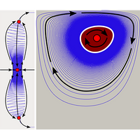 Vortex breakdown in the shear-driven flow in a rectangular cavity ...