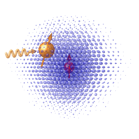 Coherent Control of a Single Nuclear Spin Qubit | Phys. Rev. Lett.
