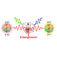 Entangled Absorption of a Single Photon with a Single Spin in Diamond ...