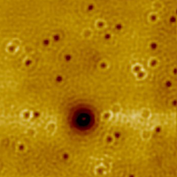 Local Spectroscopic Characterization of Spin and Layer