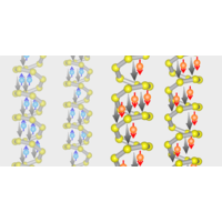 Chirality-Induced Spin Polarization over Macroscopic