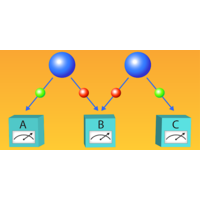 Testing Real Quantum Theory in an Optical Quantum Network | Phys. Rev ...