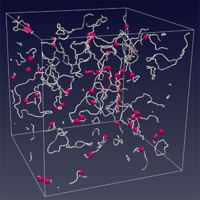 Universal Anomalous Diffusion of Quantized Vortices in Ultraquantum ...