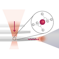 Photonic Indistinguishability of the Tin-Vacancy Center in