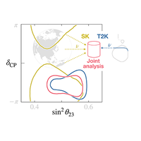 The Application of Econophysics: Proceedings of the Second Nikkei Econophysics Symposium [ハードカバー] Takayasu， Hideki 東邦大学 理学部生命圏環境科学科 今野研究室