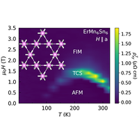 Topological Hall effect induced by chiral fluctuations in | Phys. Rev ...