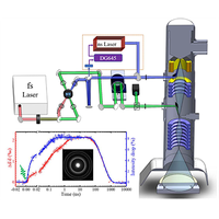 Ultrafast laser-induced anisotropic structural dynamics of five