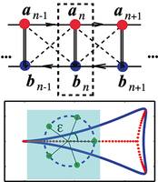 Probing non-Hermitian skin effect and non-Bloch phase transitions ...