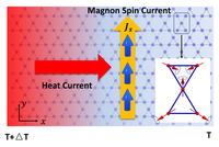 Intrinsic spin Nernst effect of magnons in a noncollinear ...