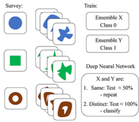 Unsupervised learning using topological data augmentation | Phys. Rev ...