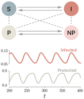 Pulsating campaigns of human prophylaxis driven by risk perception ...