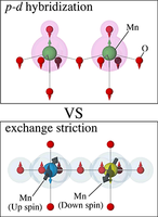 Ferroelectric atomic displacement in multiferroic tetragonal perovskite ...
