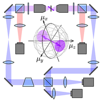 Quantum limits for precisely estimating the orientation and wobble of ...