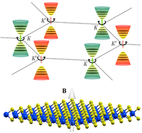 Valley Zeeman effect and Landau levels in two-dimensional transition ...