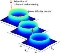 Quench dynamics of a weakly interacting disordered Bose gas in momentum ...