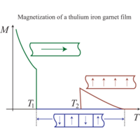 Double magnetic reorientation transition in thin garnet films | Phys ...
