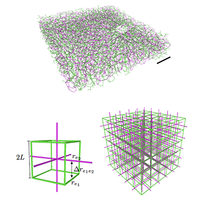 How to pare a pair: Topology control and pruning in intertwined complex ...